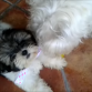 Aquí estoy jugando con Hugo!